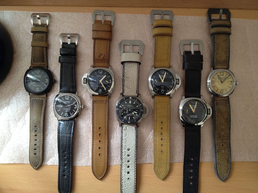PAM%20collection_zpskmjzexba.jpg
