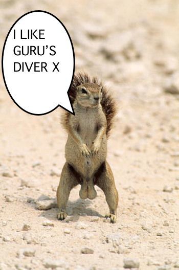 squirrelTesticles_zps6b3df9d5.jpg