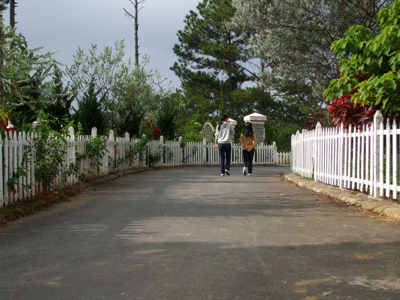 DALAT CLUB - Nơi hội tụ những người yêu Đà Lạt