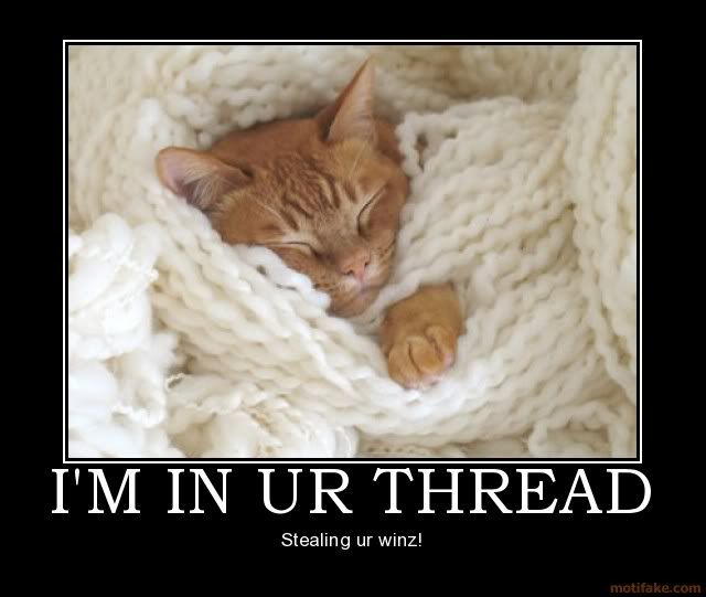 im-in-ur-thread-cat.jpg