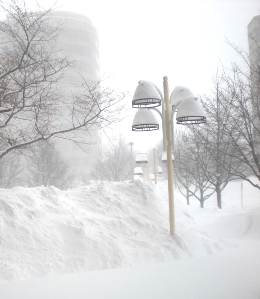 Snow How Do Blizzards Form Pictures, Images & Photos Photobucket