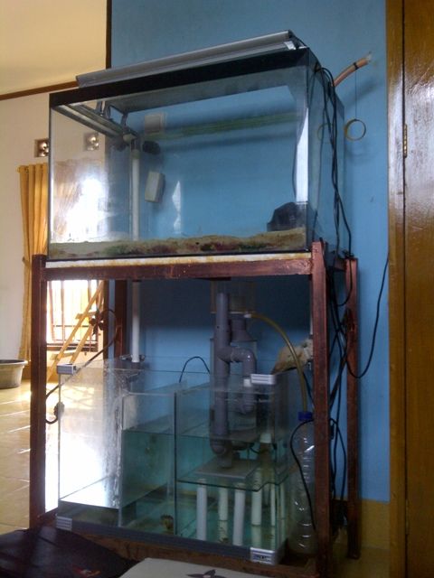 IMG-20131229-00121.jpg