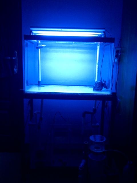IMG-20131230-00129.jpg