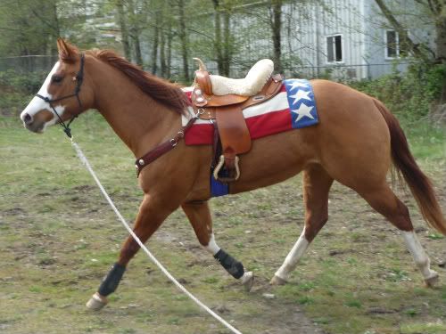 IMAGE(http://i785.photobucket.com/albums/yy134/rodeoratdogs/BDB%20FASHION%20DESIGN/026-1.jpg)