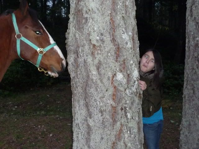 IMAGE(http://i785.photobucket.com/albums/yy134/rodeoratdogs/Decorated%20images/I%20CD%20SPOT/070.jpg)