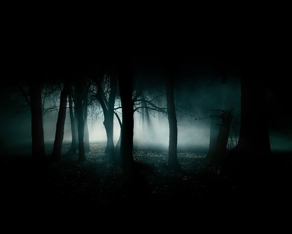 goth forest photo: forest dark-forest-night-image.jpg