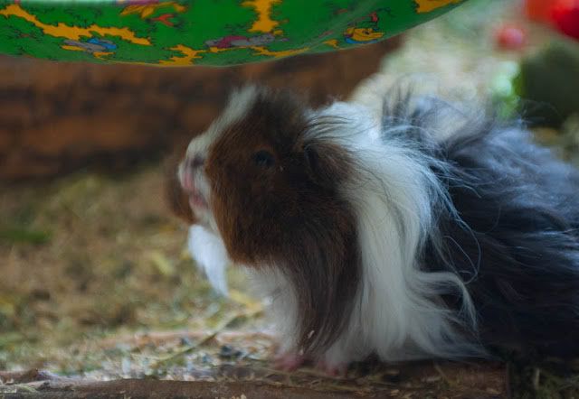 Bild