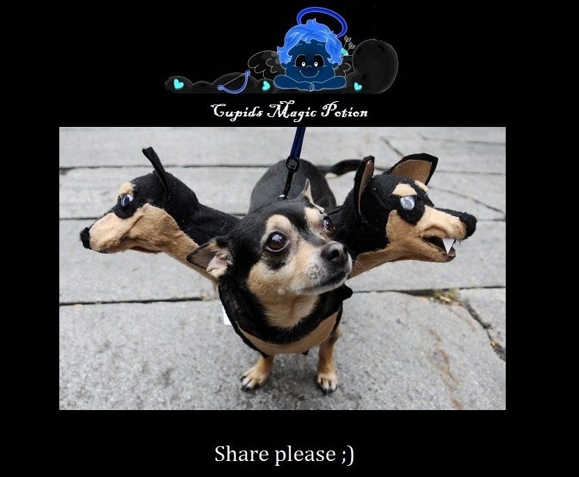 wwwfacebookcomcupidsmagicpotionboutiquerefhl (c) cupidsmagicpotion visit this page