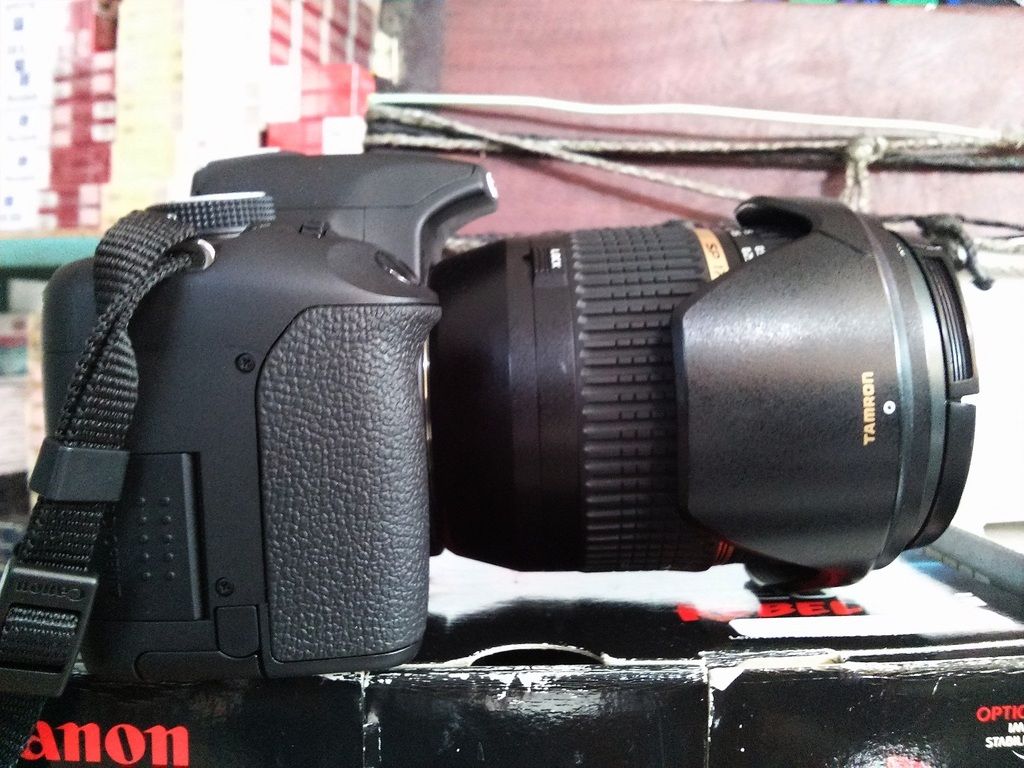 canon 500d rebel T1i, tamron 17-50 f2.8 vc - 2