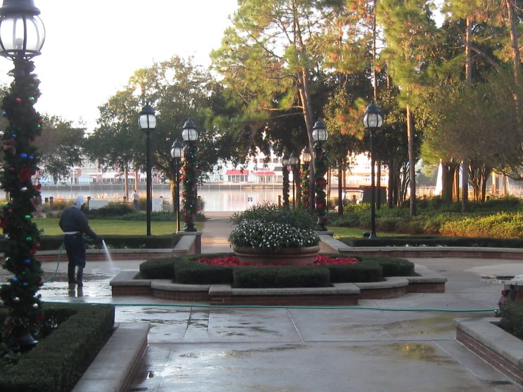 IMG_1221.jpg