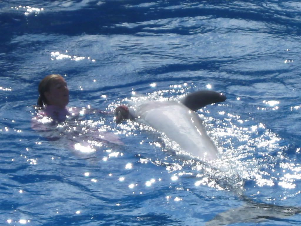 IMG_1464.jpg