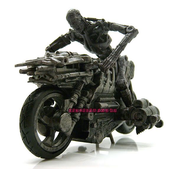 Terminator On Motorcycle