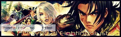 Universal Fighting System™ banner